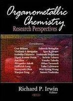 Organometallic Chemistry Research Perspectives
