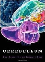 The Cerebellum: Brain For An Implicit Self