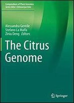 The Citrus Genome