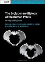 The Evolutionary Biology Of The Human Pelvis: An Integrative Approach