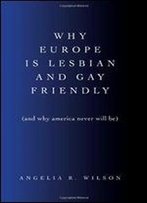 Why Europe Is Lesbian And Gay Friendly (And Why America Never Will Be) (Suny Series In Queer Politics And Cultures)