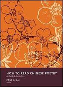 How To Read Chinese Poetry: A Guided Anthology