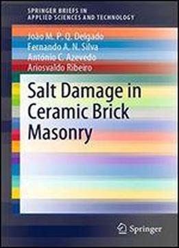 Salt Damage In Ceramic Brick Masonry (springerbriefs In Applied Sciences And Technology)