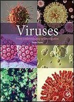 Viruses: From Understanding To Investigation